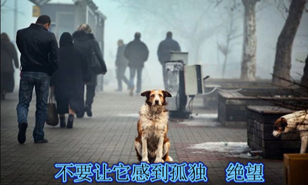 玉溪玉溪爱影圈微博微信转发案例